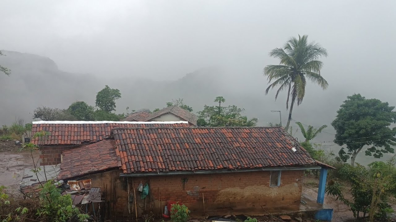Chovendo ⛈️ muito na sexta-feira 13 aqui no sítio no agreste nordestino uma maravilha. 