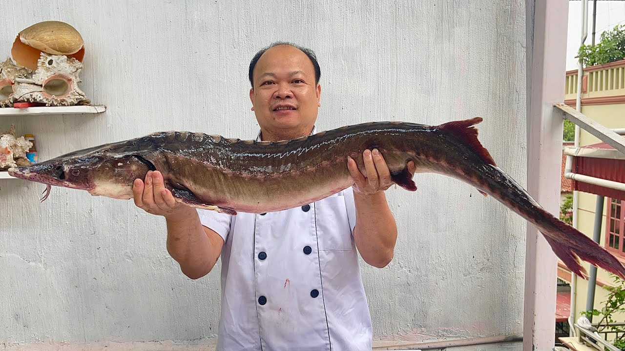 Cách làm cá tầm chiên riềng // Sơn Hào