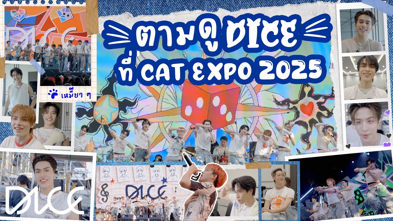 [VLOG] DICE - ตามดูเหมียวน้อง DICE ในงาน #CATEXPO2025 😸