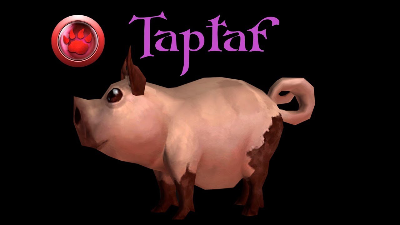 Mascotas de Vanidad #22 - Taptaf