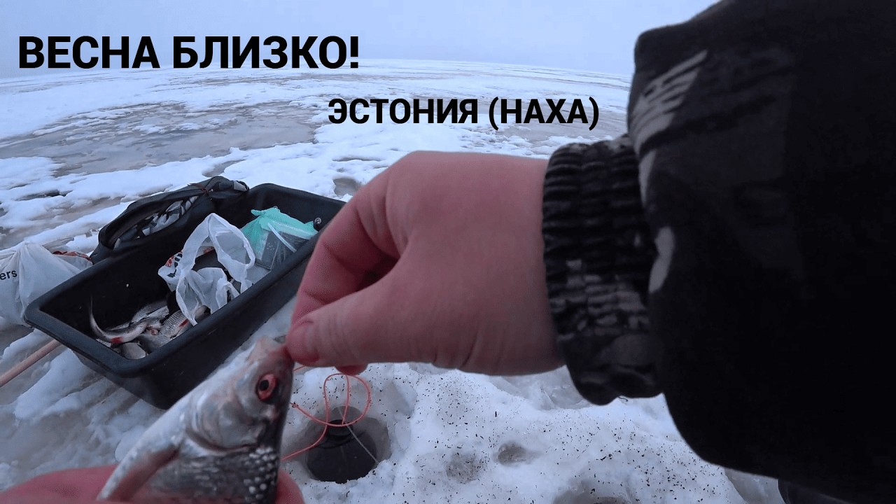 КРУПНАЯ ПЛОТВА! ЛЕСКА НЕ ВЫДЕРЖАЛА! ТЁПЛОЕ ОЗЕРО, НАХА!