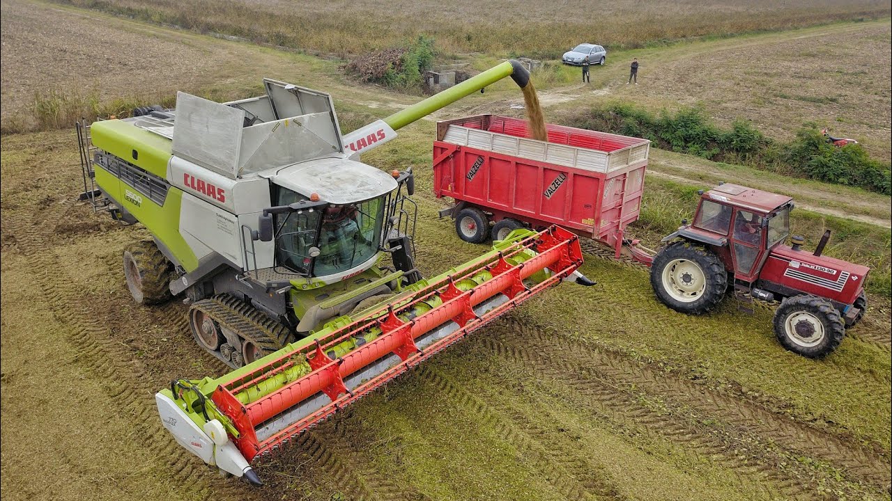 Nuova CLAAS LEXION 5500 | Trebbiatura Soia 2020/ Fiatagri 130-90/Soy bean Harvest