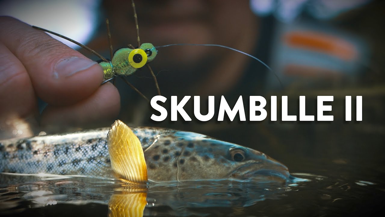 SKUMBILLE II - De nyeste Tips & Tricks - Havørreder på tørflue!