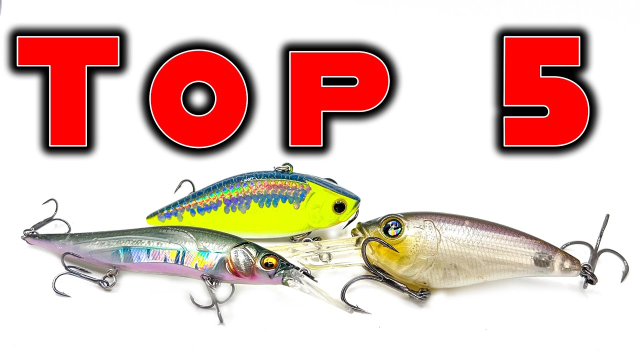 Top 5 Baits For November Bass Fishing!
