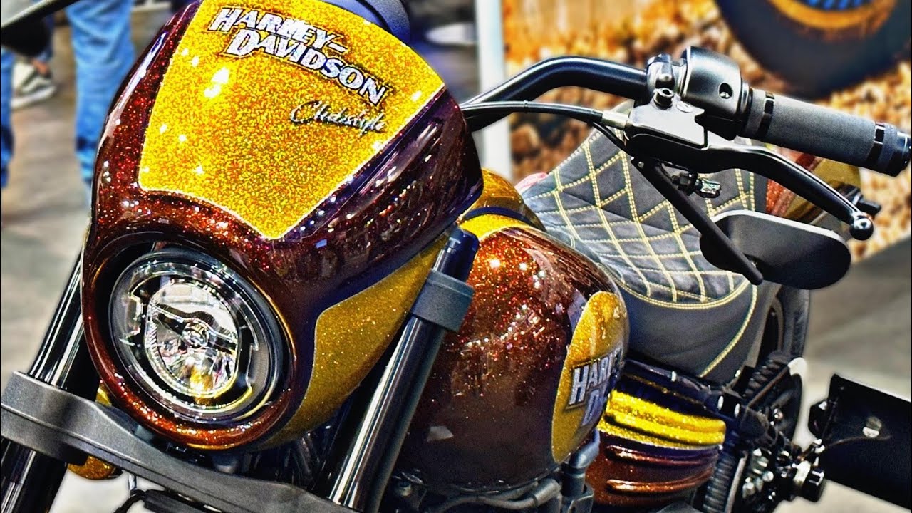 30 Best Looking Harley-Davidson Custom Motorcycles For 2024\2025