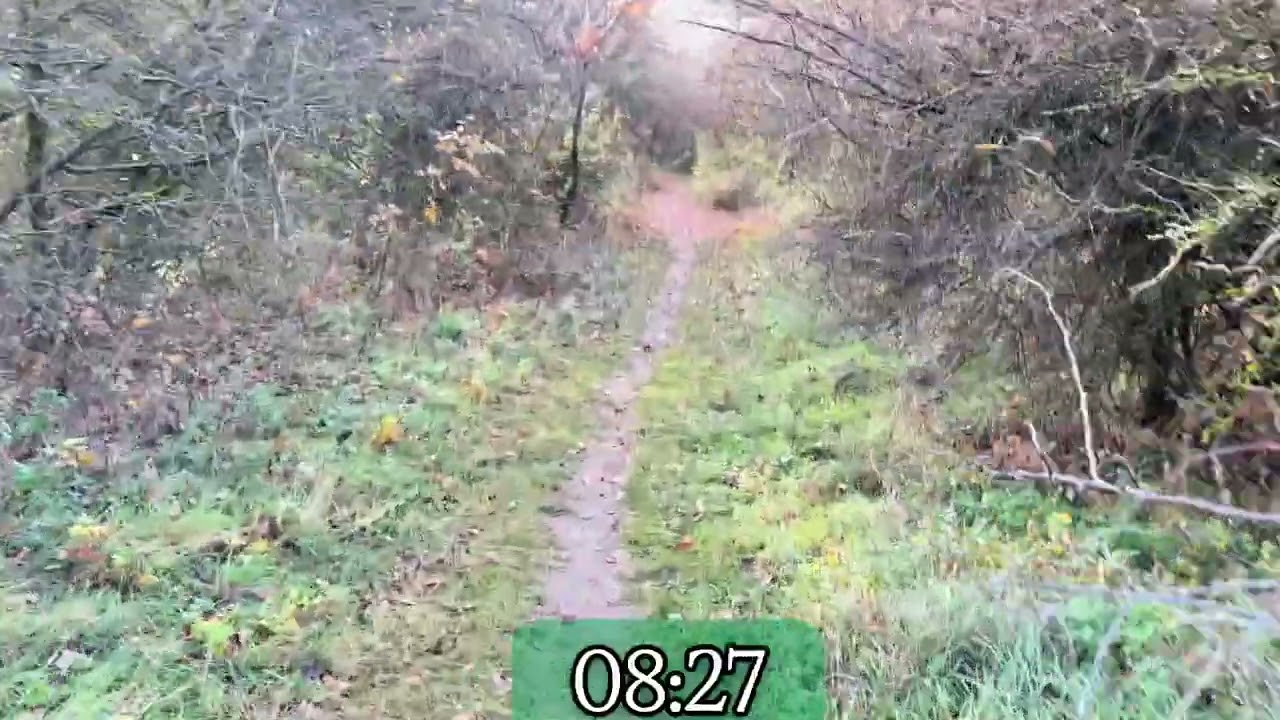 4K Scenary Run with me 13mins in beautiful forests and mountains, outdoor. Motivation Boost Music