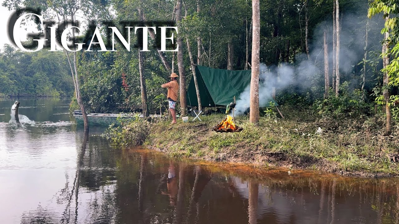 O ACAMPAMENTO foi pro chão 🤦🏽‍♂️PESCARIA cheia EMOÇÕES, CAPTUREI uma PIRANHA GIGANTE! Aventura SELVA