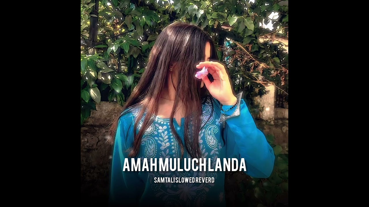 Amah Muluch Landa || New Santali Cover Song Trending Santali Slowed Reverd #santalimusicvideo 