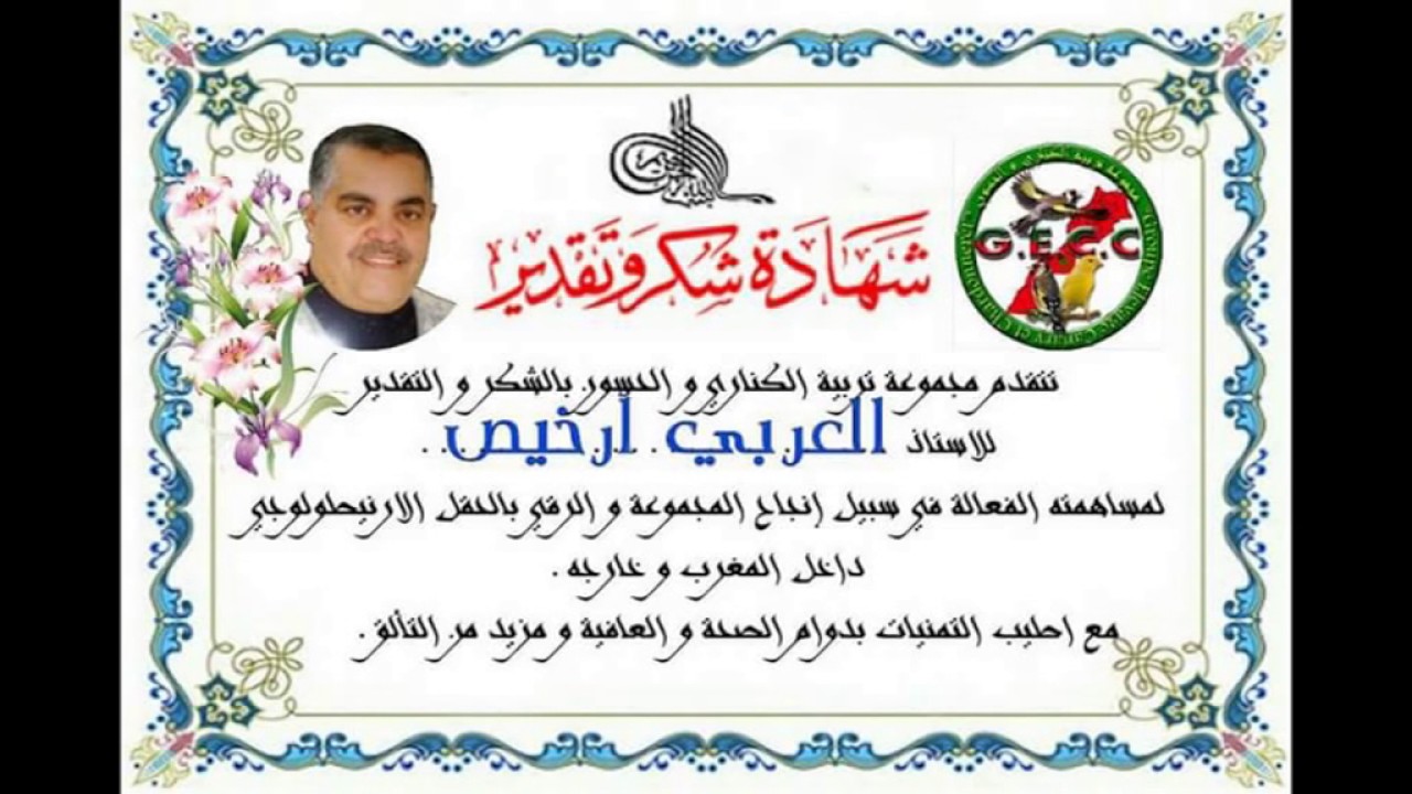 كيفية إطعام فراخ الحسون بطريقة طبيعية درس من تقديم الأستاذ الكبير سي العربي ارخيص