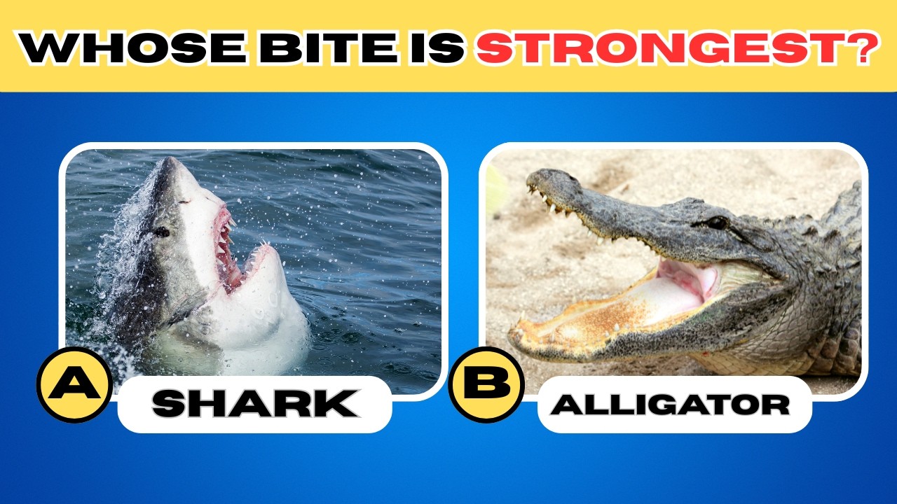 Only 1% Can Guess These Animals 🧠🔥 (The Last One Will Blow Your Mind!)