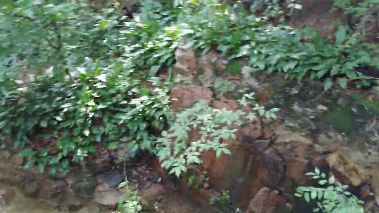 Gilsangsa(Temple) & Walk - 길상사