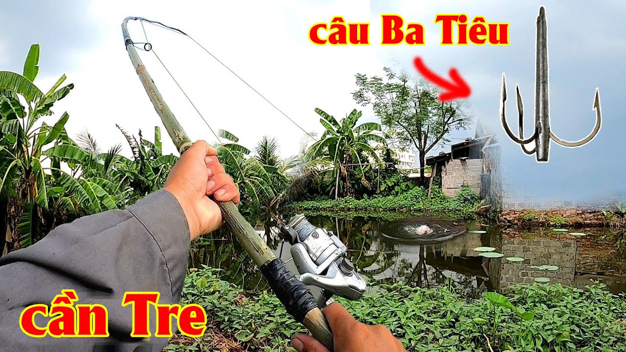 Đi câu Ba Tiêu bằng cần Tre tự chế, và cái kết không ngờ