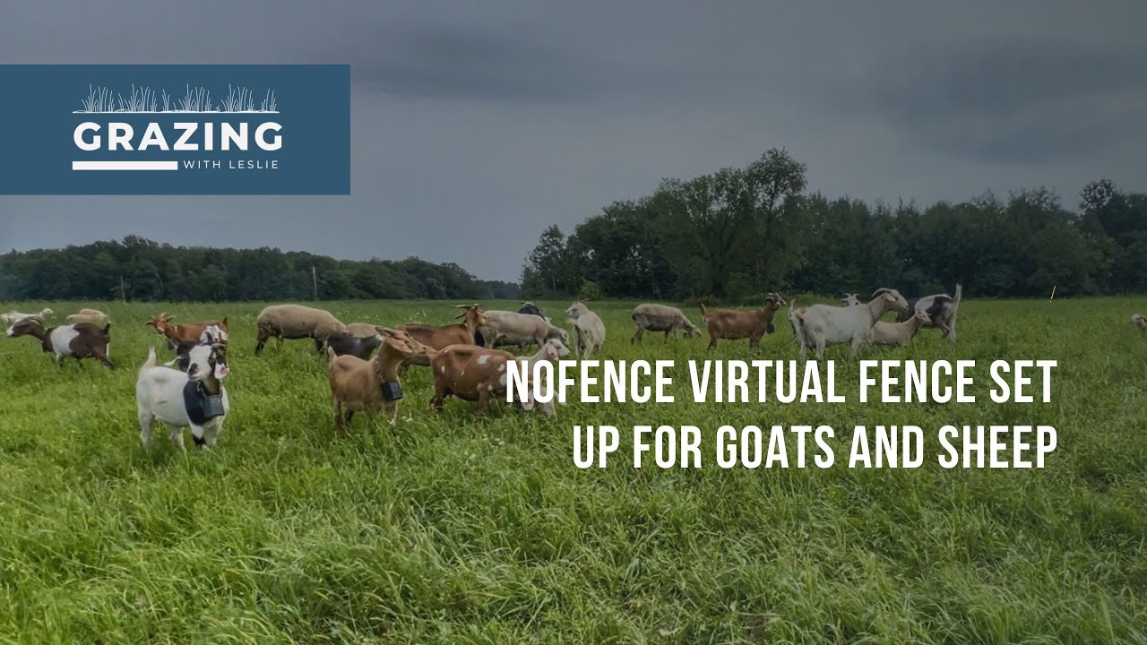 [PT 1] Setting up Nofence virtual fence for goats and sheep