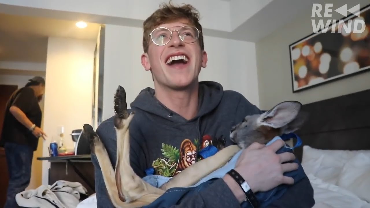 MATT KING BEST MOMENTS [PART 5]