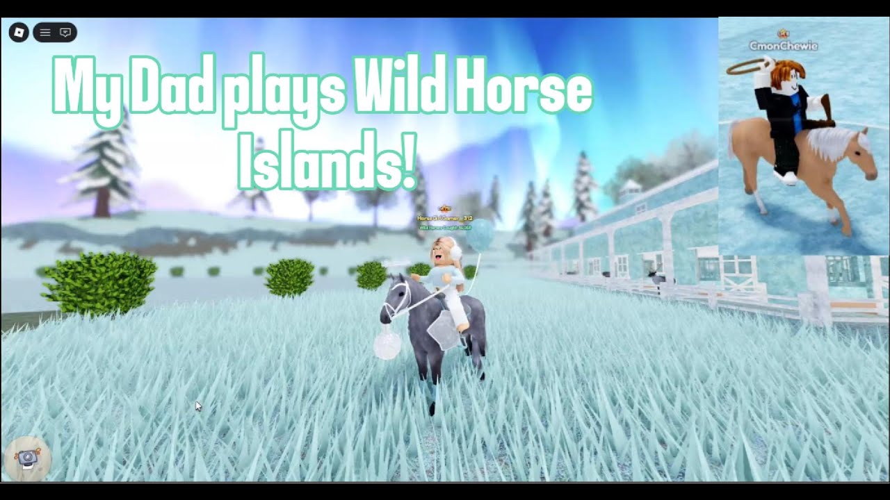 Я пытался научить папу играть в Wild Horse Islands!