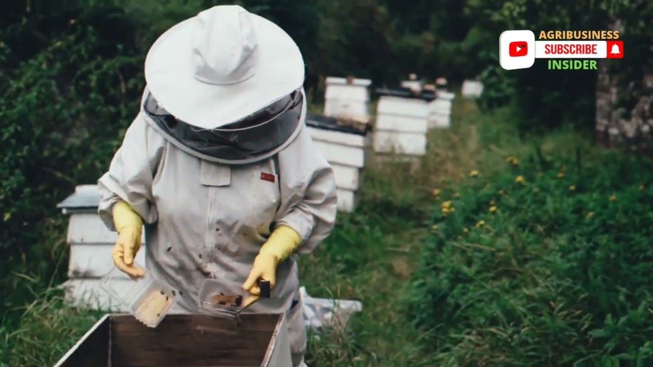 7 MOST Profitable Agribusiness Ideas In 2022 worth Millions WorldwideHD Agriculture Business ideas