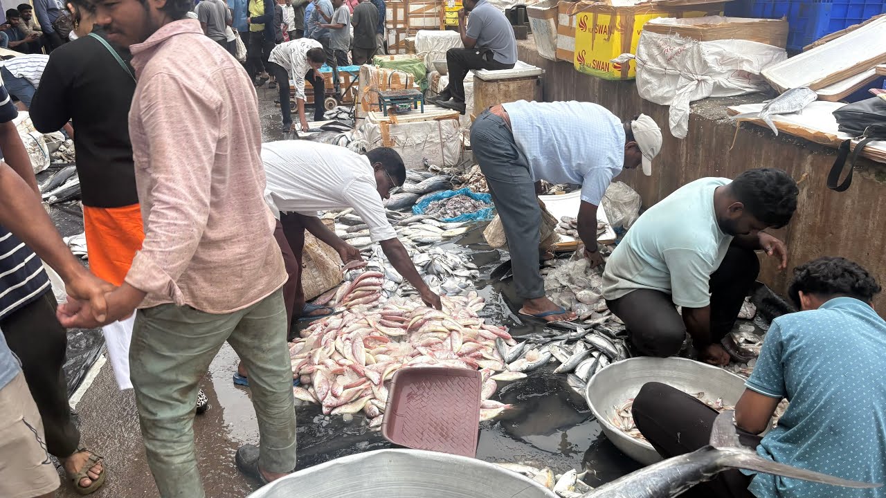 Hyderabad Ramnagar Fish Market || Wholesale Fish Market in Hyderabad ||  @SMRITIRGHAR