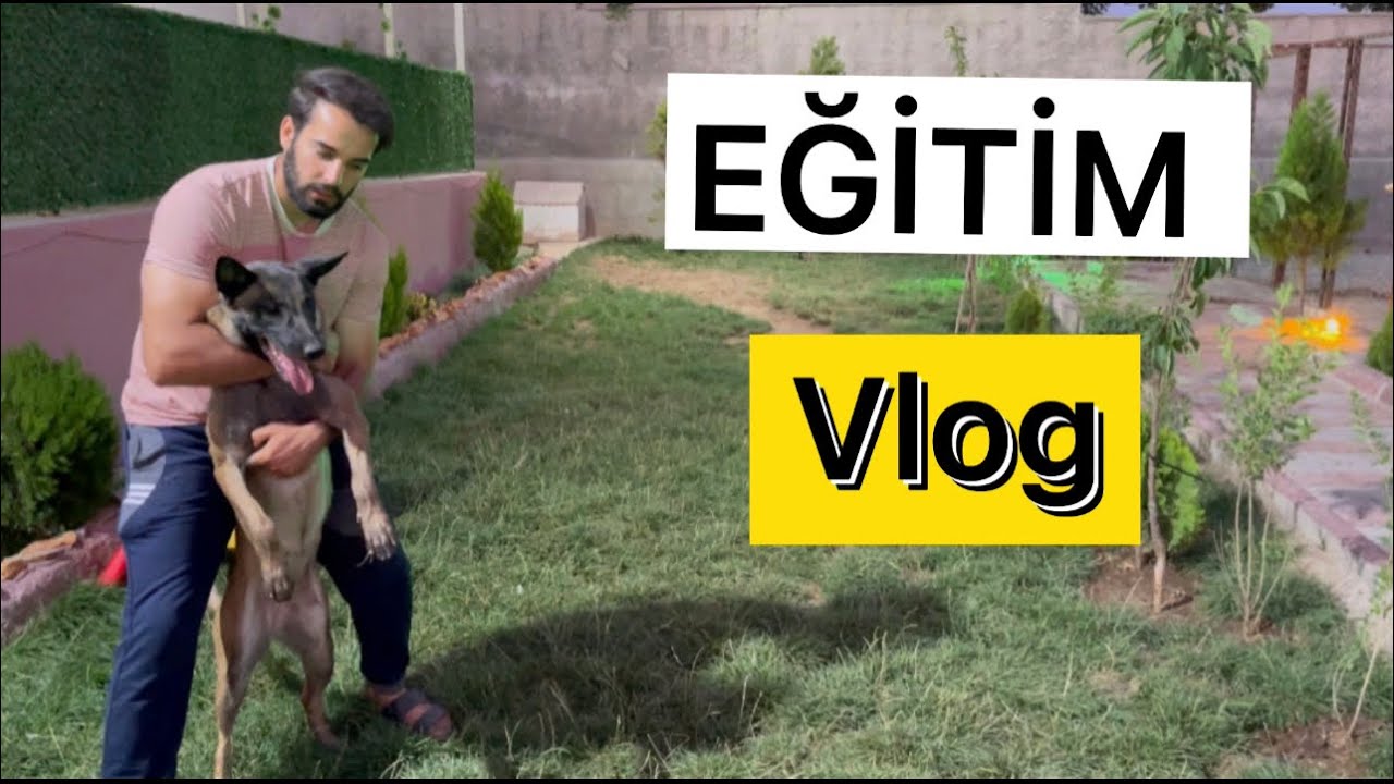 AKIN KIRKIZI ZİYARET ETTİM PİTBULL İLE BOĞUŞMA!