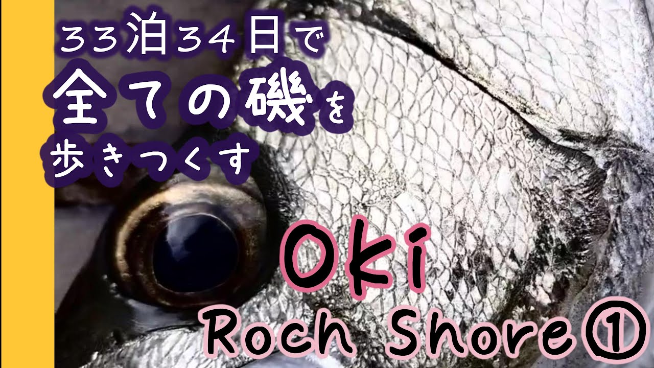 隠岐海士町　ロックショアサラシ打ち