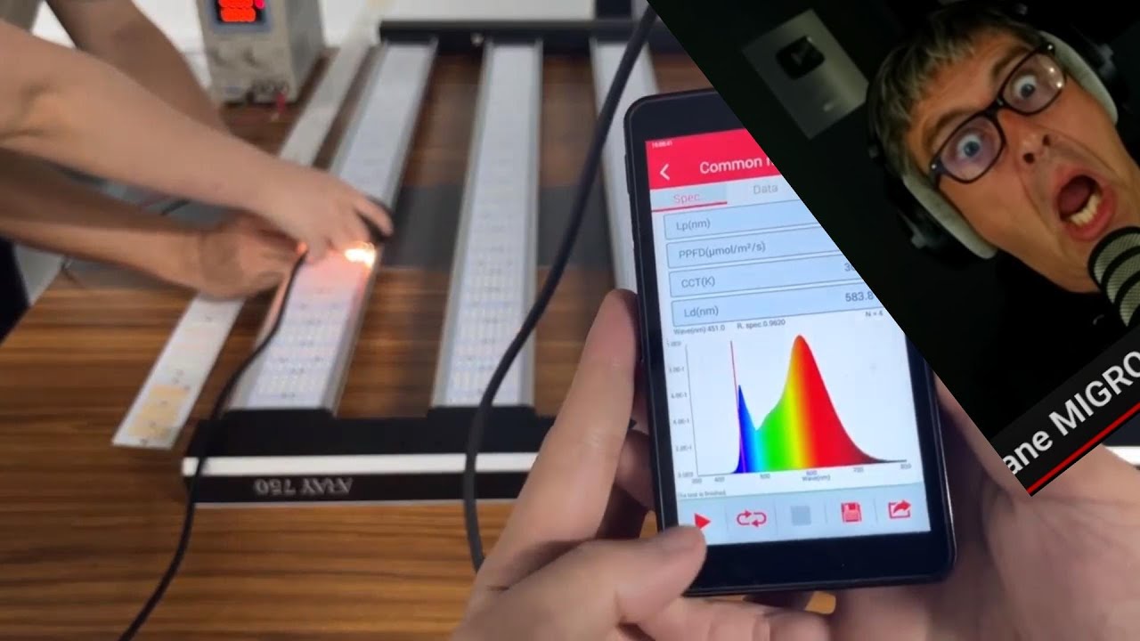 ARAY 750 MIGRO  REVIEW