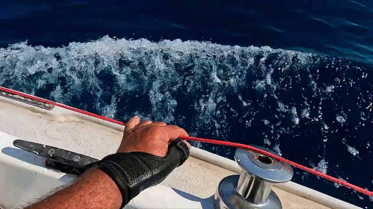 alpa dodi robespierre con avvolgi randa telecomandato e autopilata St 1000 plus