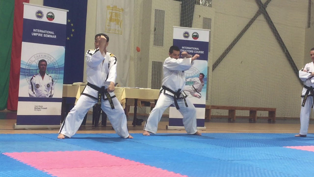 Poune Tull Exlplane By GM Kim Un Chol