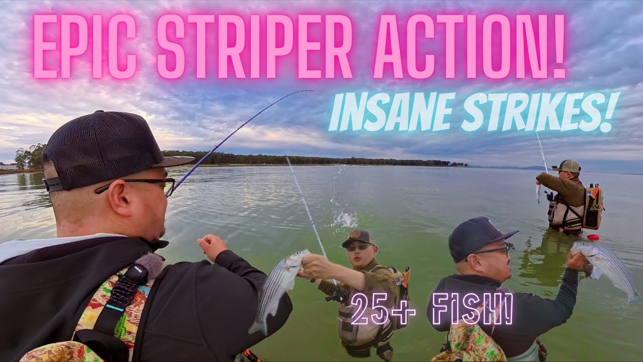 INSANE San Francisco Bay Striper Bite! 25+ Fish Caught! 🎣