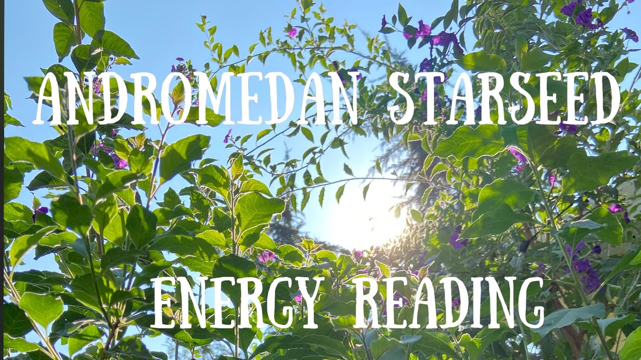 ✨Andromedan Starseed Energy Reading✨