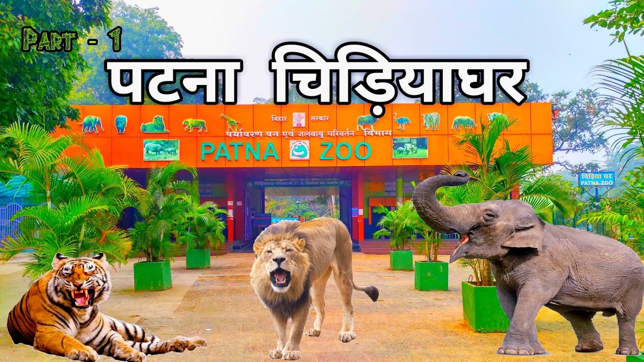 Patna Zoo | पटना चिड़ियाघर | Sanjay Gandhi Biological Park | Patna Bihar