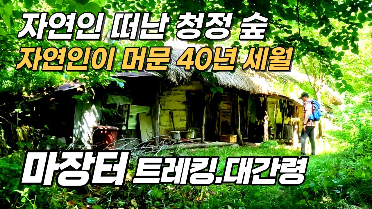 청정 숲 길 마장터 새이령 가는 길 _ 오지중의 오지