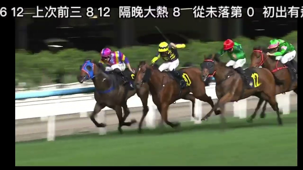 2025 11 12 跑馬地 第二場 #東方寶寶 #潘明輝