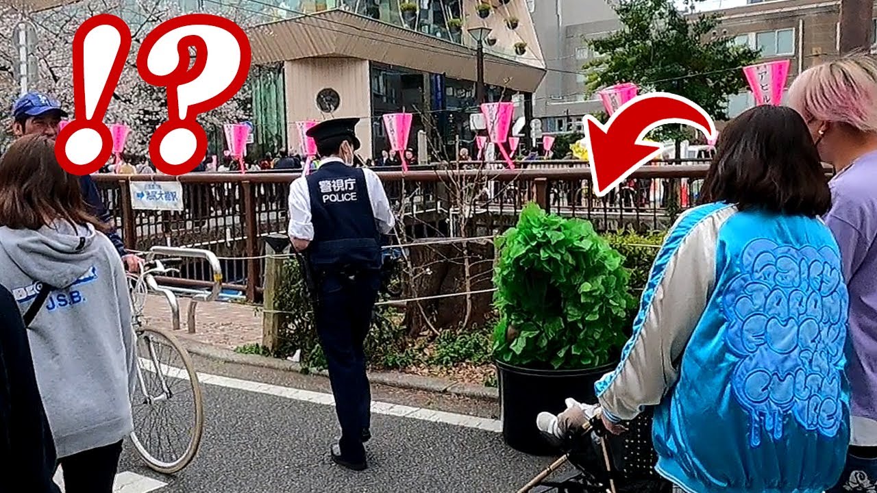 (JAPAN) VS Police...?? Bushman prank at 