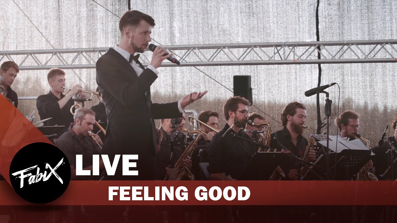 Tramp Cats Bigband meets Fabian Hentschel - Feeling Good | FABIX