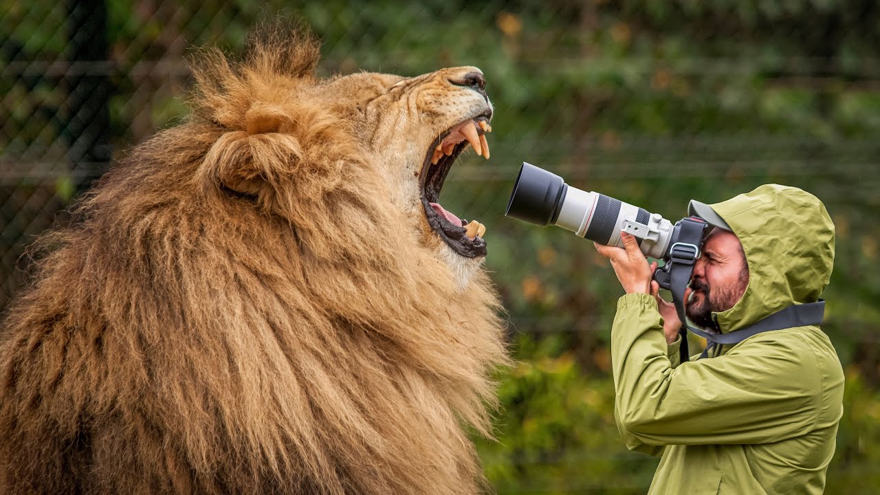 Secrets to Capturing Stunning  Animal Photos AT THE ZOO