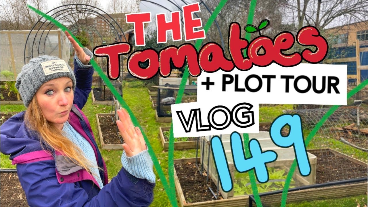 Ep149 - Tomatoes!! (Varieties and Sowing) + Feb PLOT TOUR || Plot 37