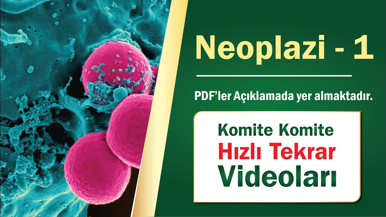 09  |  Neoplazi 01- Hızlı Tekrar