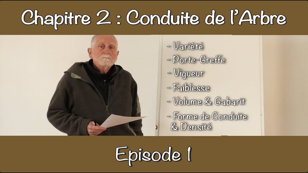Les Mots Cl&eacute;s en Arboriculture Fruiti&egrave;re, avec Michel Ramonguilhem