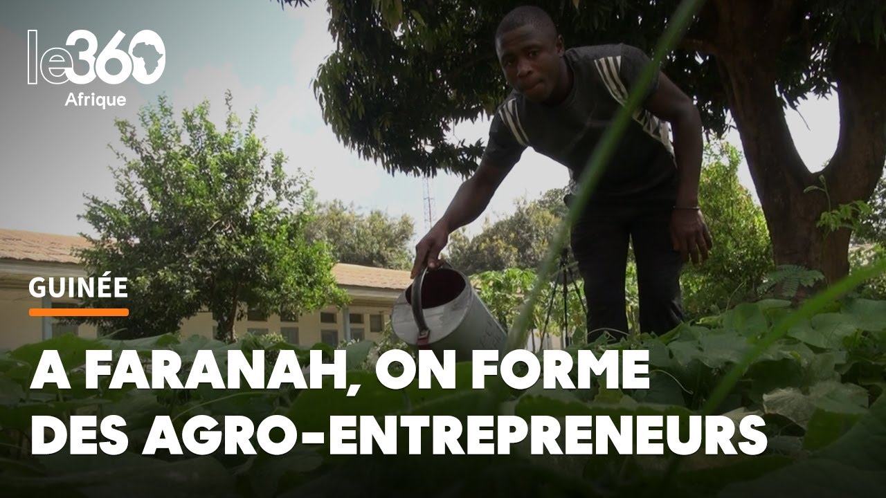 Guinée. Institut agronomique et vétérinaire de Faranah: de la théorie aux champs