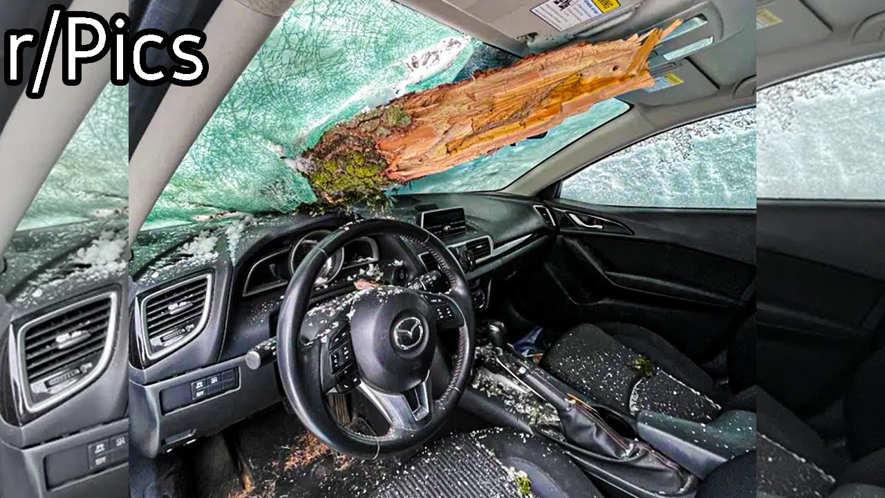 r/Pics | Glad I wasn't Sitting There...