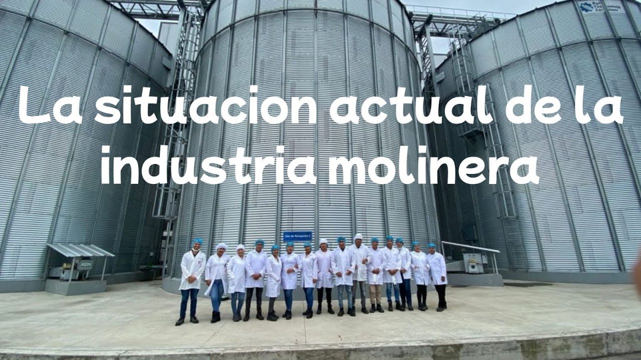 Situaci&oacute;n Actual de la Industria Molinera Venezolana