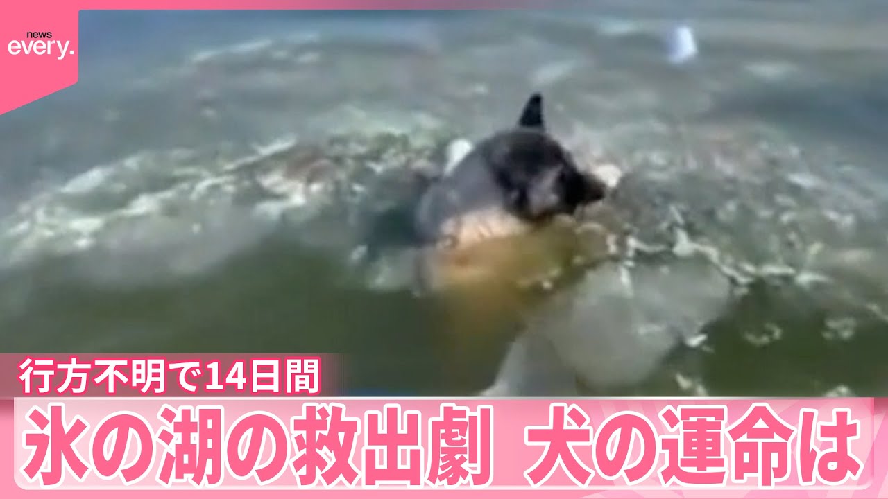 【アメリカ】行方不明で14日間　氷の湖の救出劇&hellip;犬の運命は『世界のミダシ』