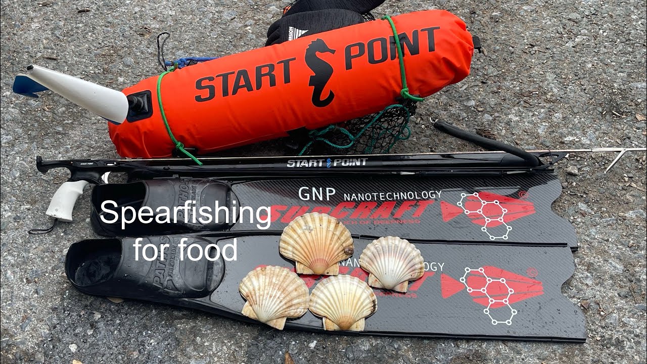Spearfishing for food