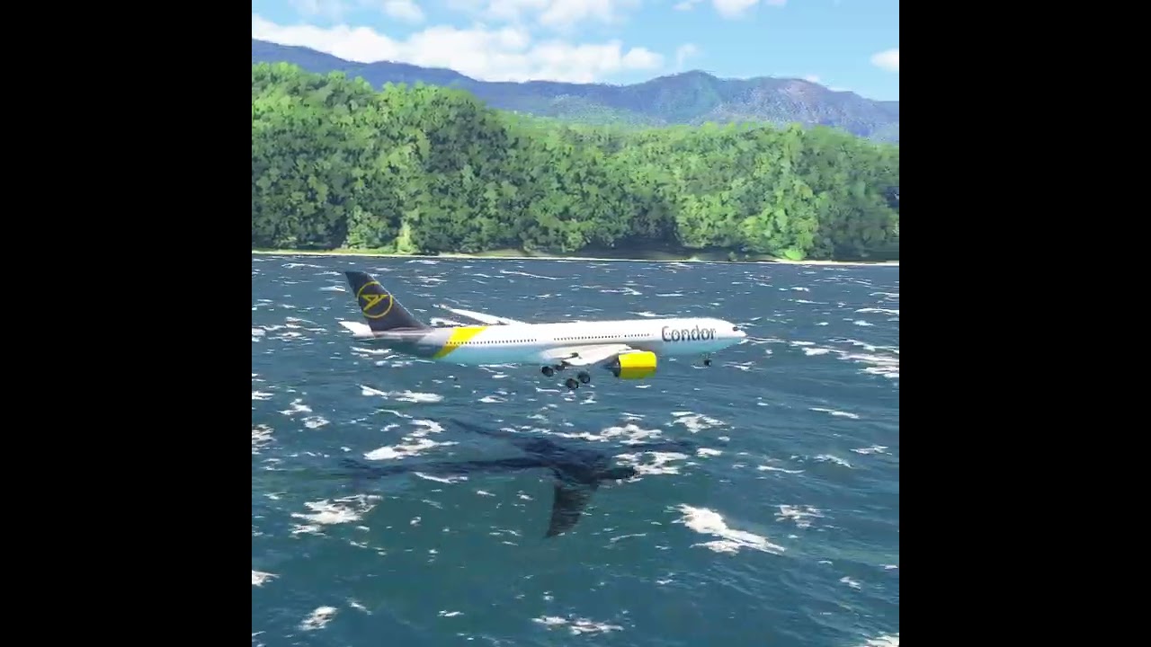 a pilot's dangerous actions for the safety of passengers eps 00264