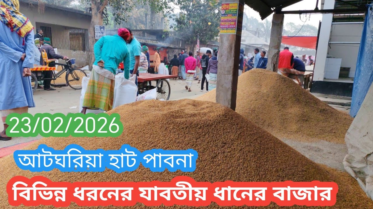 23 February 2026 আজকের ধানের বাজার দর। Paddy rice market price rate in pabna Bangladesh 