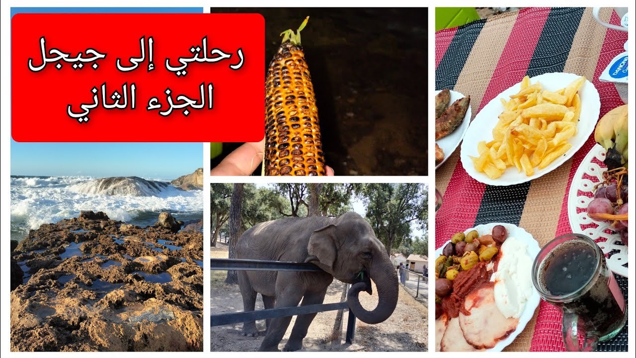 اول مرة نزور جيجل 👌 حديقة الحيوانات ❤️ عشاء على شط البحر 😋