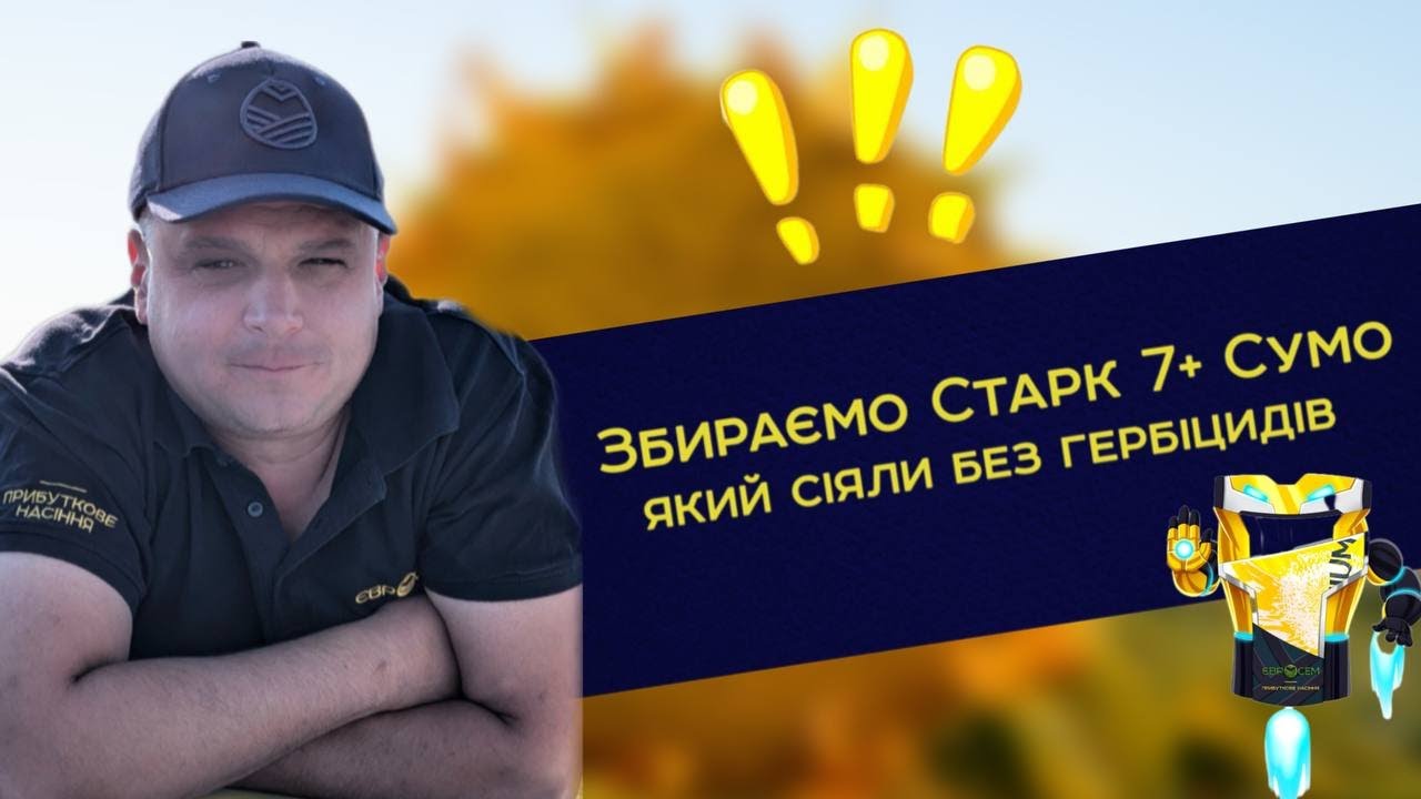 Збираємо Старк 7+ Сумо, який сіяли без гербіцидів