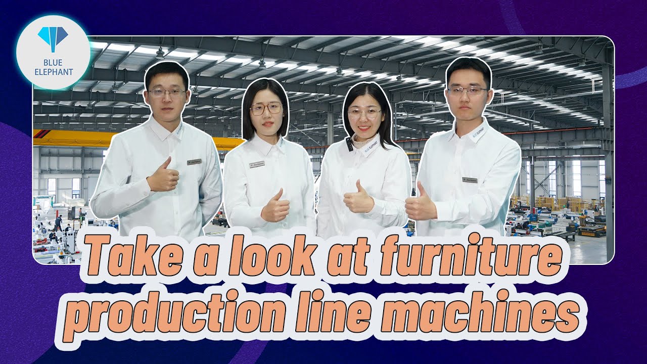 Blue Elephant's Sales Managers Introduce Production Line Machines in the Factory