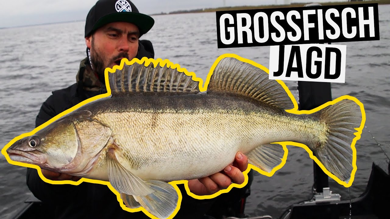 GROSSFISCH-JAGD mit BIG L!