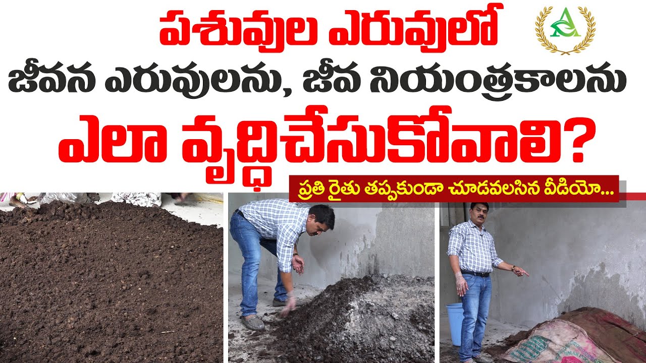 పశువుల ఎరువులో జీవన ఎరువులను, జీవ నియంత్రకాలను ఎలా వృద్ధి చేసుకోవాలి | Annapurna agri space