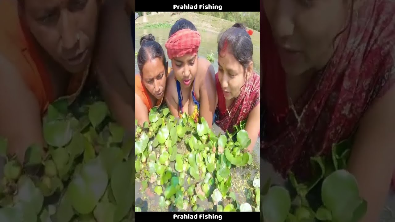 Incredible Hand Fishing Skills by Women | Best New Women Fishing Video 2025 Fishing 🔥🔥🔥